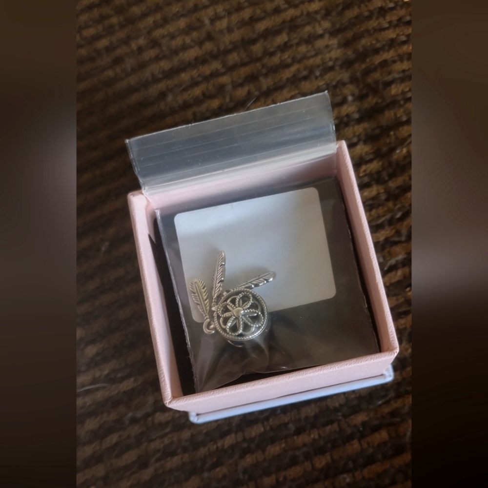 Pandora Spiritual Dreamcatcher Charm